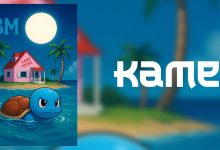 kame-aka-$kame:-a-novel-crypto-initiative-powering-see-turtles-conservation