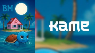 kame-aka-$kame:-a-novel-crypto-initiative-powering-see-turtles-conservation
